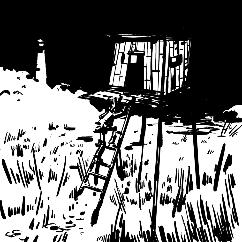 A rickety duck blind is on stilts in the swamp. The man climbs the ladder in to it.