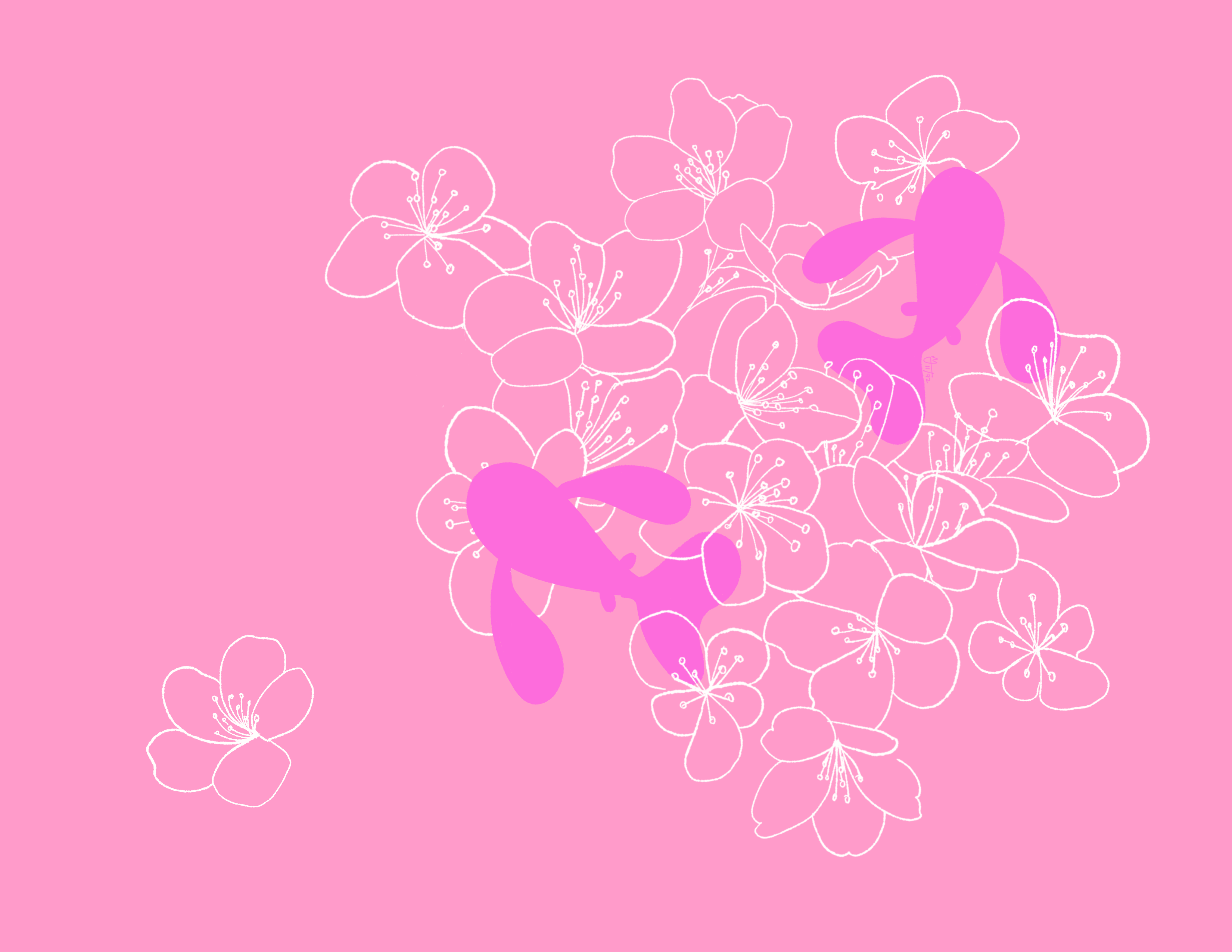 Two bright pink fish swim in cherry blossoms. The background is light pink.