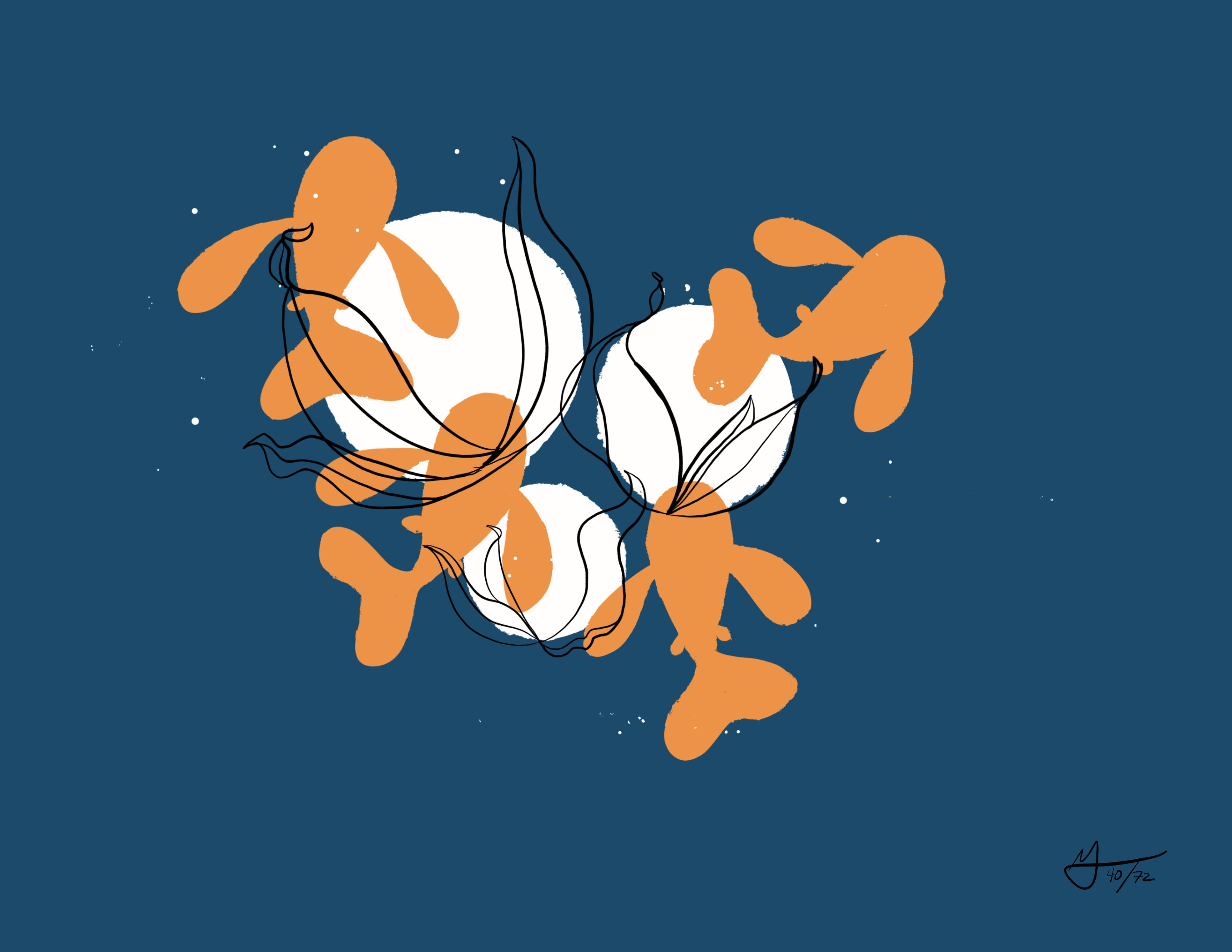Four orange fish swim around a drawing of a cotton flower. The background is dark blue.