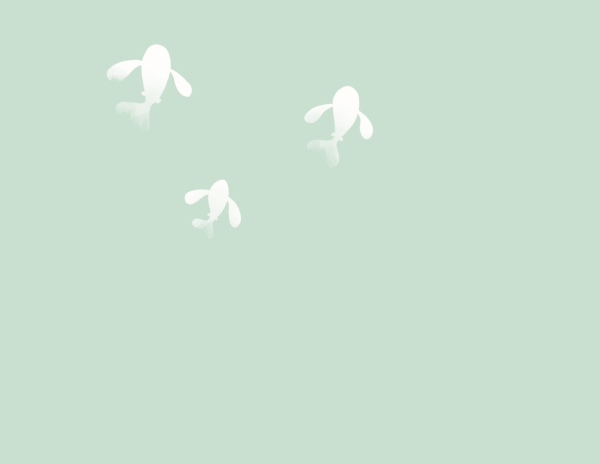 Three small white fish swim towards the top of a seafoam green background. They are fading in from tail to head.