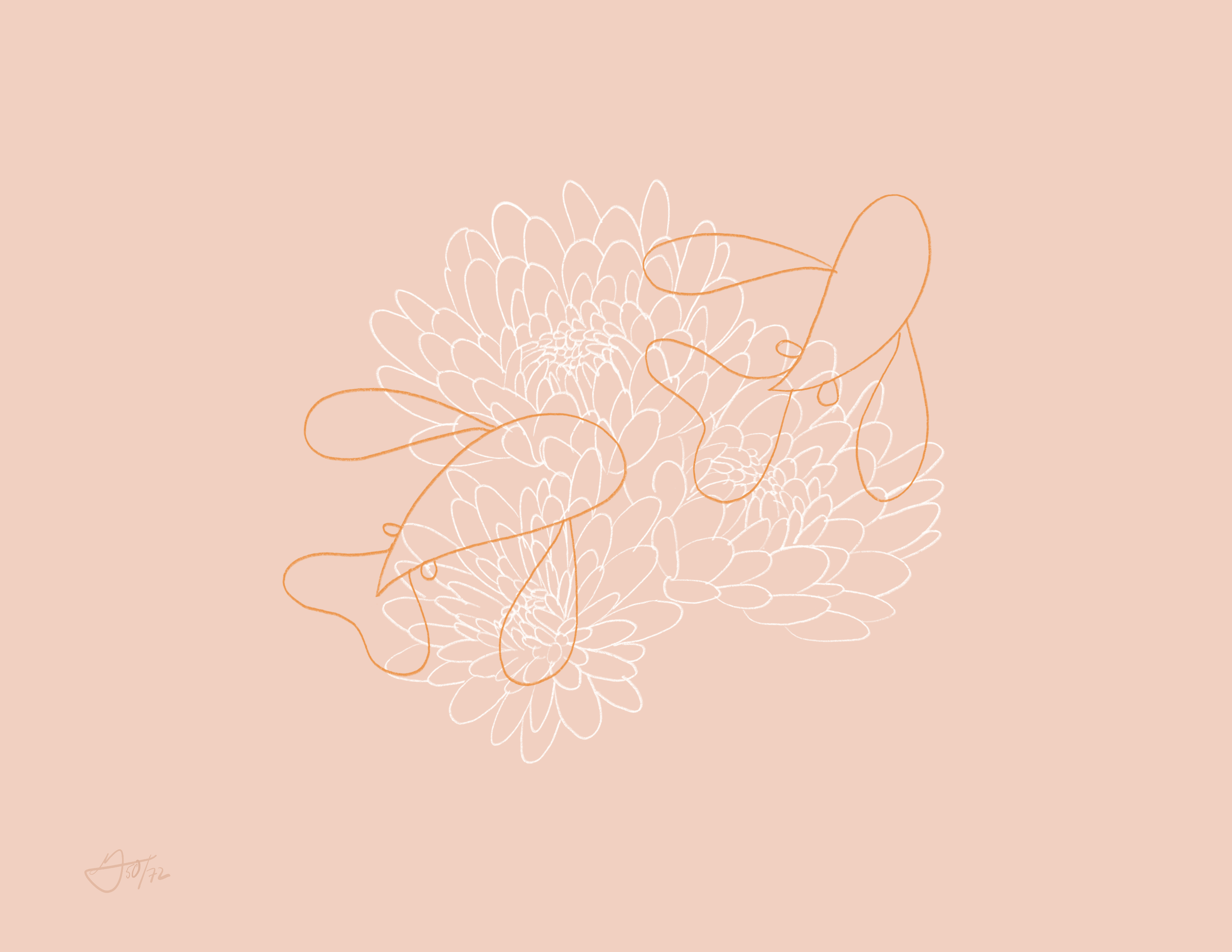 Two orange fish swim through the outlines of a chrysanthemum. The fish are outlines too.