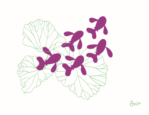 Five bright purple fish swim through the outlines of butterbur leaves.